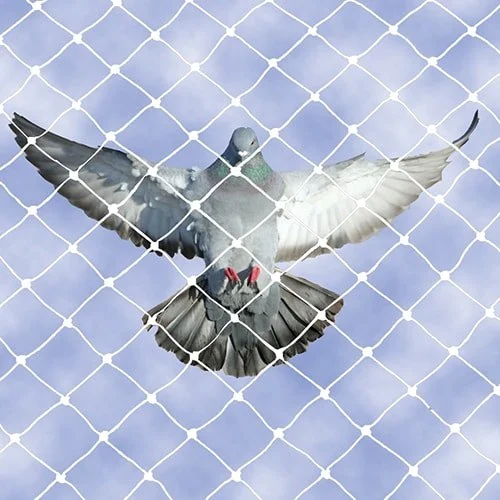 Anti-pigeon net Delhi NCR